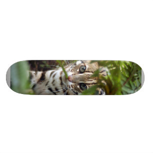 Bengalische Katze 022 Skateboard