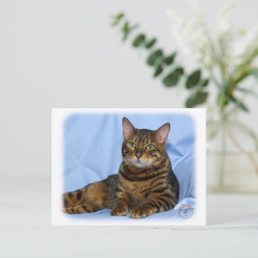 Bengalische Katze 9W052D-018 Postkarte (Stehend Vorderseite)