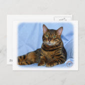 Bengalische Katze 9W052D-018 Postkarte (Vorne/Hinten)