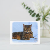 Bengalische Katze 9W052D-023 Postkarte (Stehend Vorderseite)
