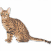Bengalische Katze Aufkleber (Vorderseite)