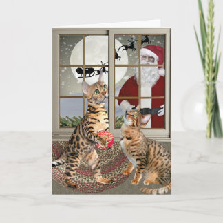Bengalische Katze, die Sankt-Karten aufpasst Feiertagskarte