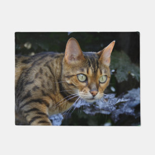 Bengalische Katze Fußmatte
