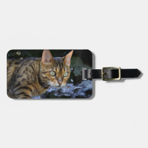 Bengalische Katze Gepäckanhänger