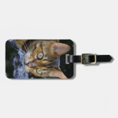Bengalische Katze Gepäckanhänger (Vorderseite horizontal)