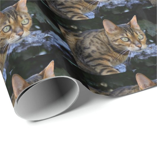 Bengalische Katze Geschenkpapier (Rolleneckpunkt)