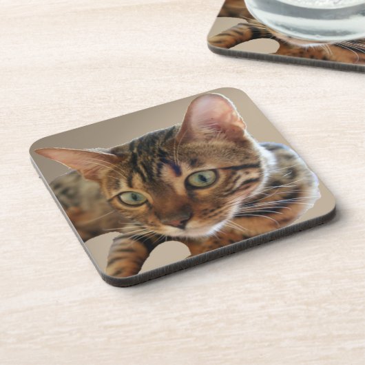 Bengalische Katze Getränkeuntersetzer (Linke Seite)