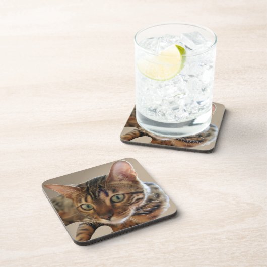 Bengalische Katze Getränkeuntersetzer (Rechte Seite)