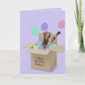 Bengalische Katze in Kiste auf Polka-Punkt Karte (Vorderseite)