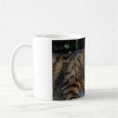 Bengalische Katze Kaffeetasse (Links)