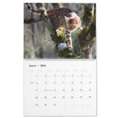 Bengalische Katze Kalender (Mär 2026)