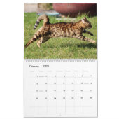 Bengalische Katze Kalender (Feb 2026)