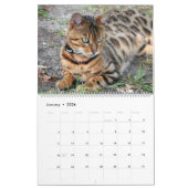 Bengalische Katze Kalender (Jan 2026)