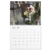 Bengalische Katze Kalender (Mär 2027)