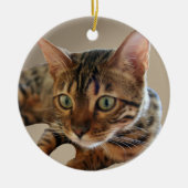 Bengalische Katze Keramik Ornament (Vorne)