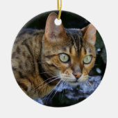 Bengalische Katze Keramikornament (Vorne)