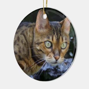 Bengalische Katze Keramikornament
