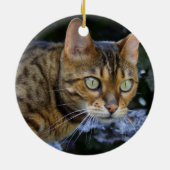 Bengalische Katze Keramikornament (Hinten)