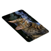 Bengalische Katze Magnet (Rechte Seite)