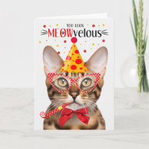 Bengalische Katze MEOWvelous Geburtstag