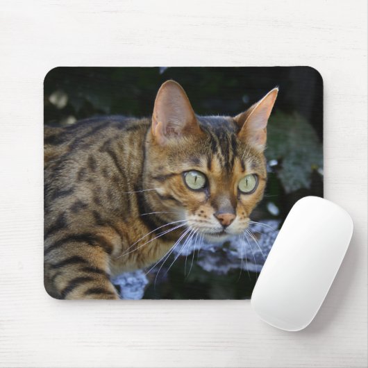 Bengalische Katze Mousepad (Mit Mouse)