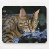 Bengalische Katze Mousepad (Vorne)