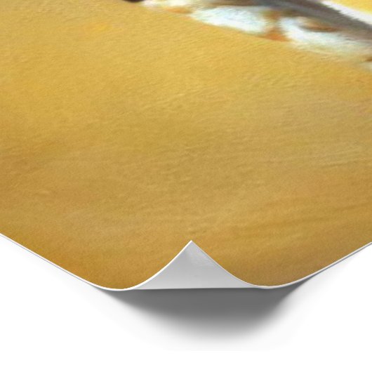 Bengalische Katze Poster (Ecke)