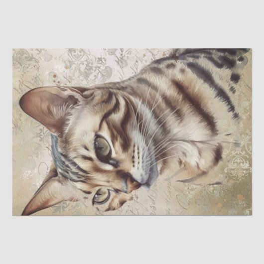 Bengalische Katze Seidenpapier (Vorderseite)
