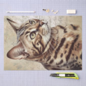 Bengalische Katze Seidenpapier (Handwerk)