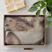 Bengalische Katze Seidenpapier (Geschenk)