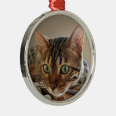 Bengalische Katze Silbernes Ornament (Rechts)