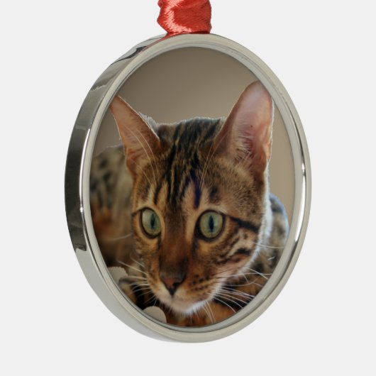 Bengalische Katze Silbernes Ornament (Rechts)