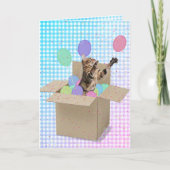 Bengalische Katze zum Geburtstag Karte (Vorderseite)