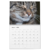 Bengalische Katzen - Kalender 2025 (Mär 2026)