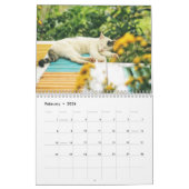 Bengalische Katzen - Kalender 2025 (Feb 2026)
