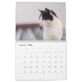 Bengalische Katzen - Kalender 2025 (Jan 2026)