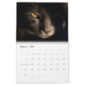 Bengalische Katzen - Kalender 2025 (Feb 2027)