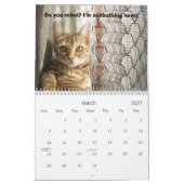Bengalische Katzen-Schönheit Kalender (Mär 2027)