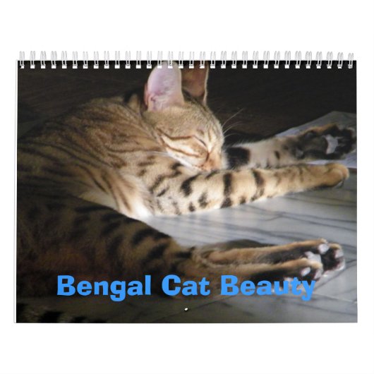 Bengalische Katzen-Schönheit Kalender (Titelbild)