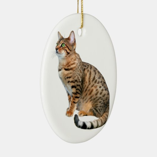 Bengalische Katzen-Verzierungen Keramikornament (Rechts)