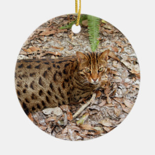 Bengalische Katzen-Weihnachtsverzierung Keramikornament