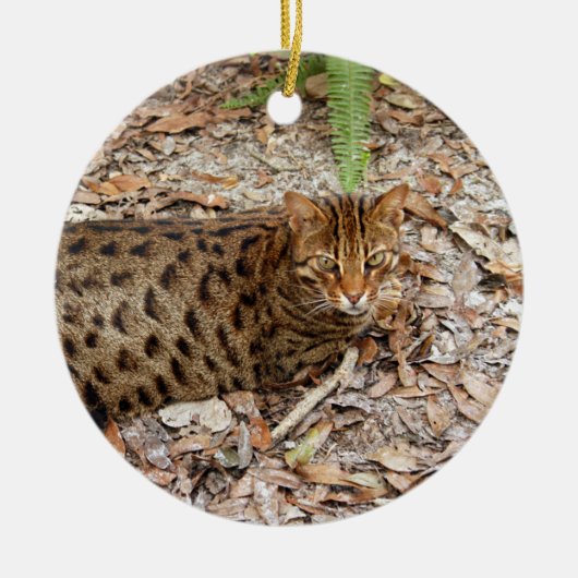 Bengalische Katzen-Weihnachtsverzierung Keramikornament (Vorne)