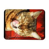 Bengalische Liebe Foto Magnet (Horizontal)