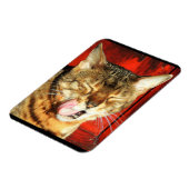 Bengalische Liebe Foto Magnet (Linke Seite)