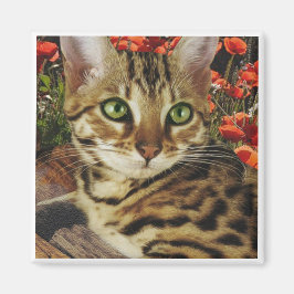 Bengalische Magnete Magnet