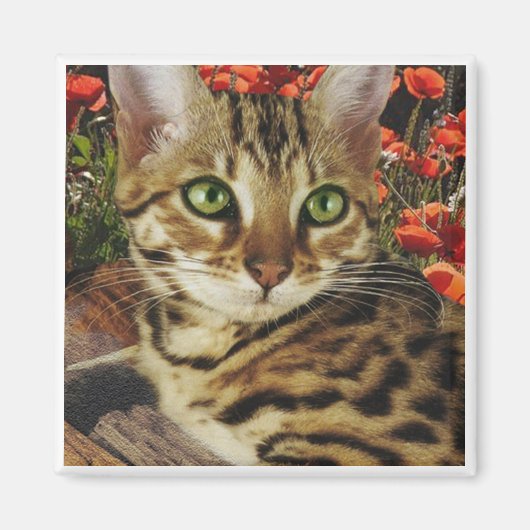 Bengalische Magnete Magnet (Vorne)