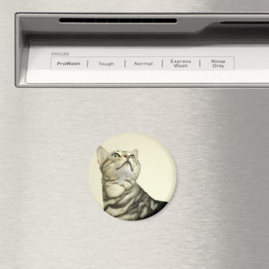 Bengalische Marmorkatze Magnet (In Situ (Geschirrspüler))