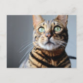 Bengalische Postkarte (Vorderseite)