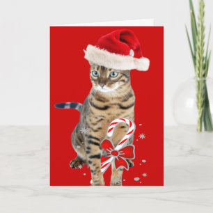 Bengalische Sankt-Geschenke Feiertagskarte