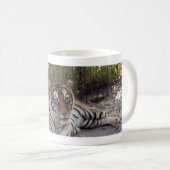 Bengalische Tasse des Tiger-003 (VorderseiteRechts)